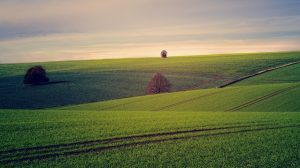 5 largest farms in the world