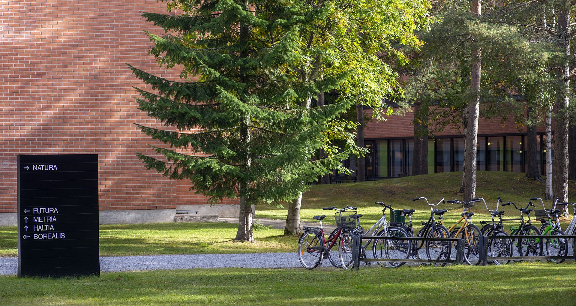 University of Eastern Finland published a comprehensive report on sustainability